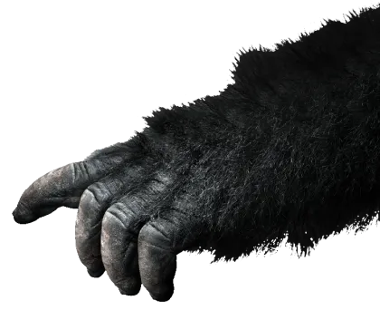 kingkong hand